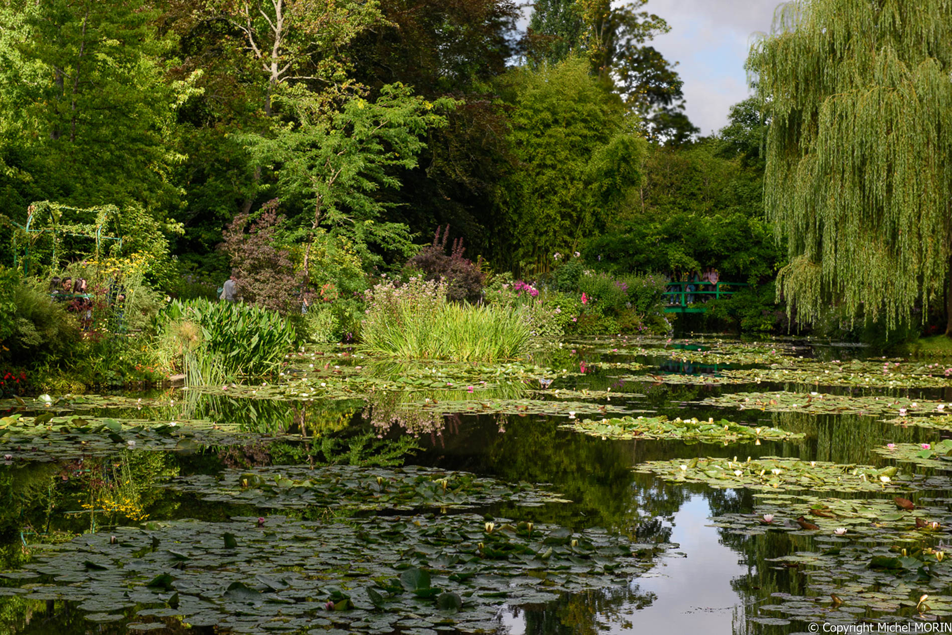 Giverny - Le jardin d'eau