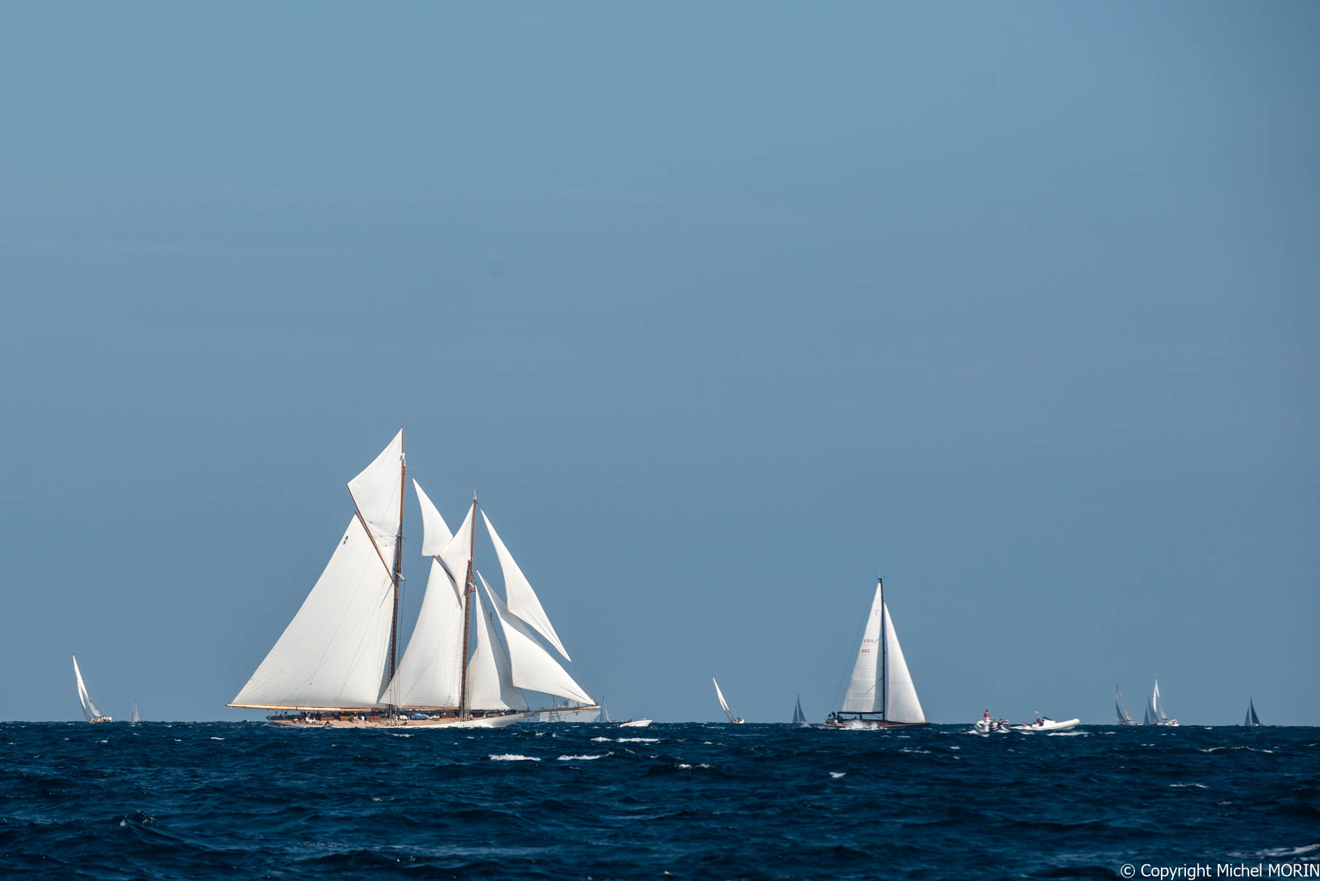 Les Voiles de St TROPEZ - ELENA Of LONDON - GOELETTE AURIQUE/2009