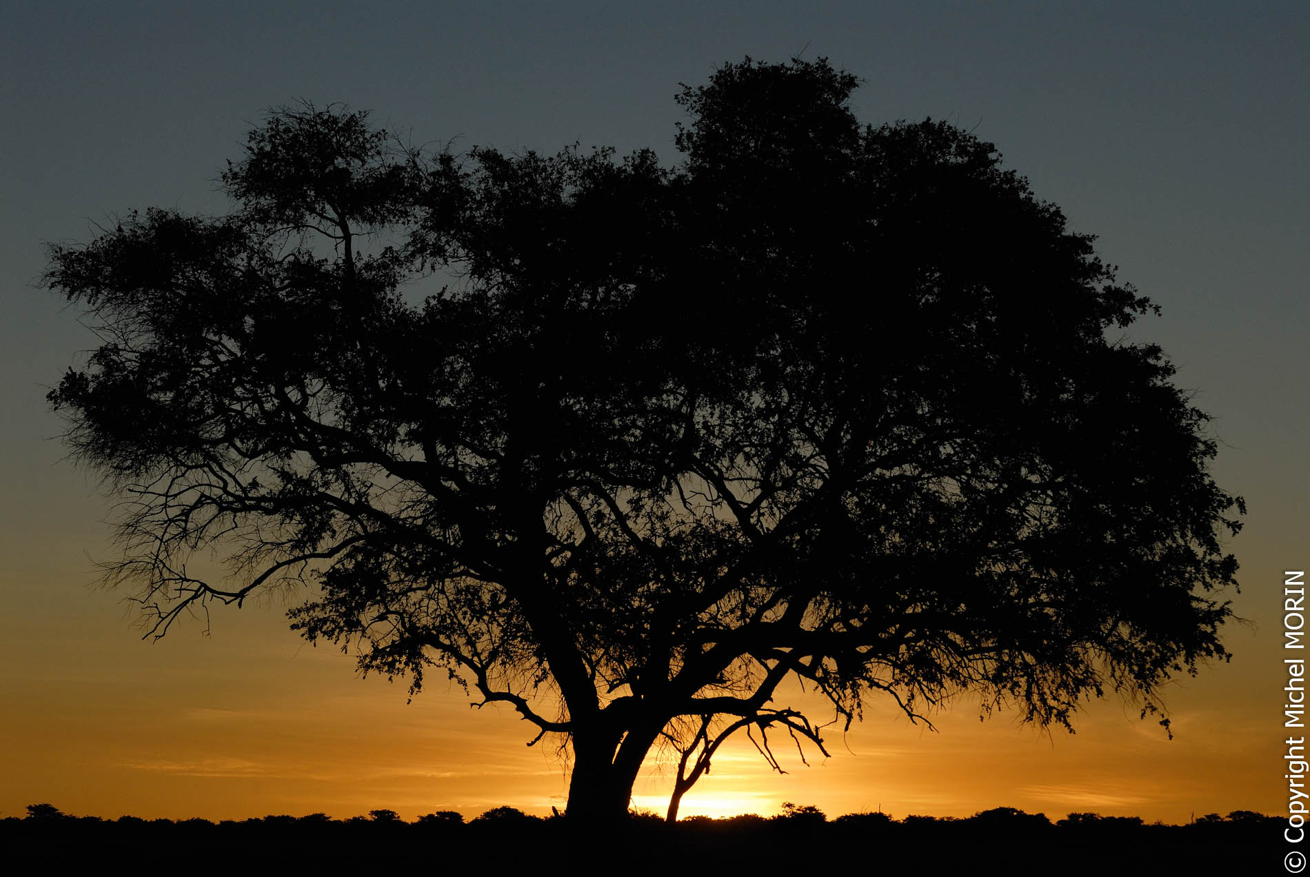 Etosha - Coucher de soleil