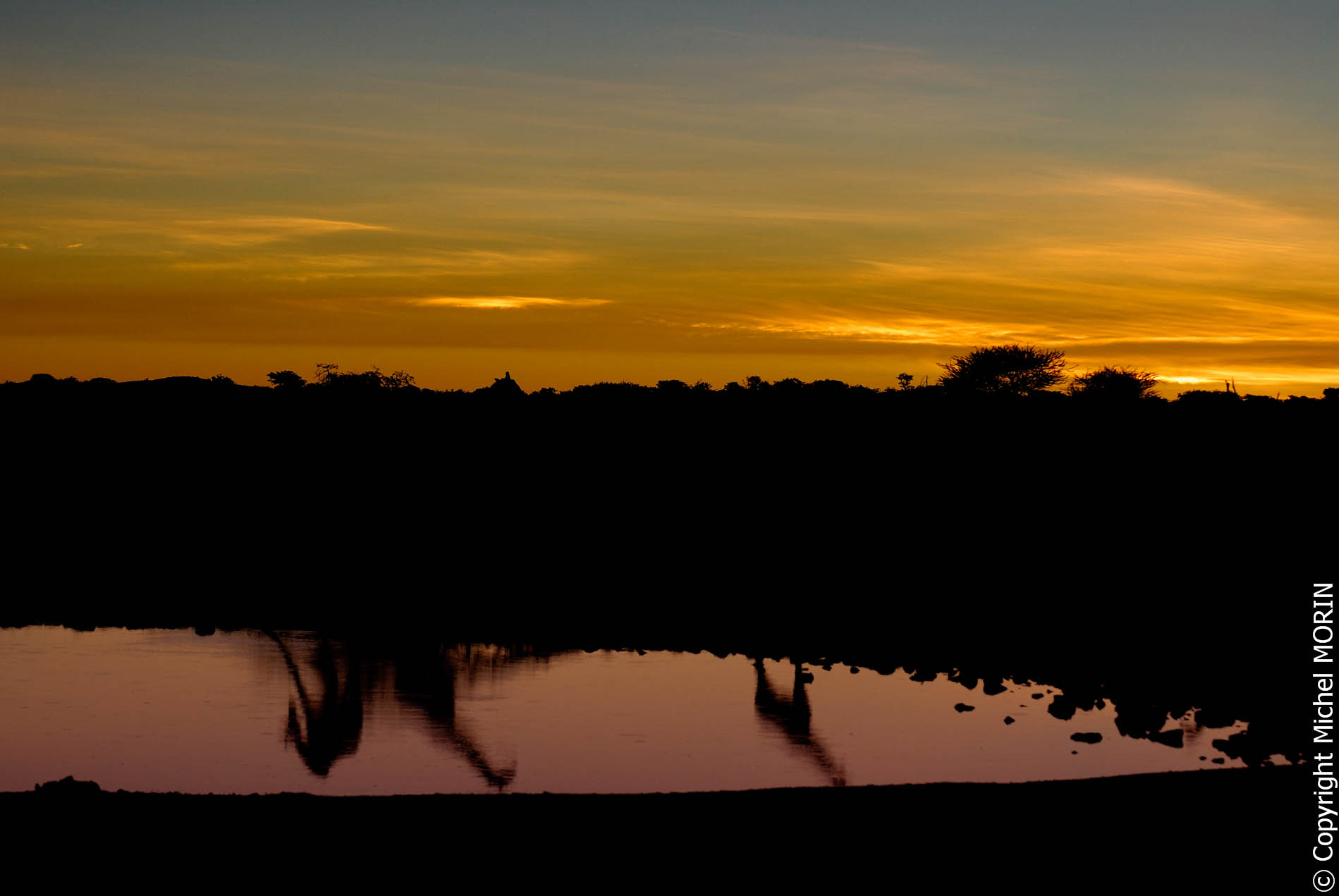 Etosha - Coucher de soleil