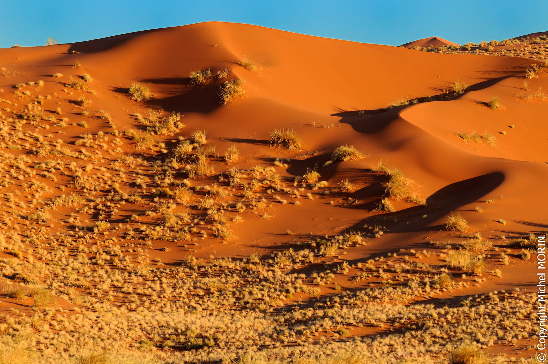 Sossusvlei - les dunes
