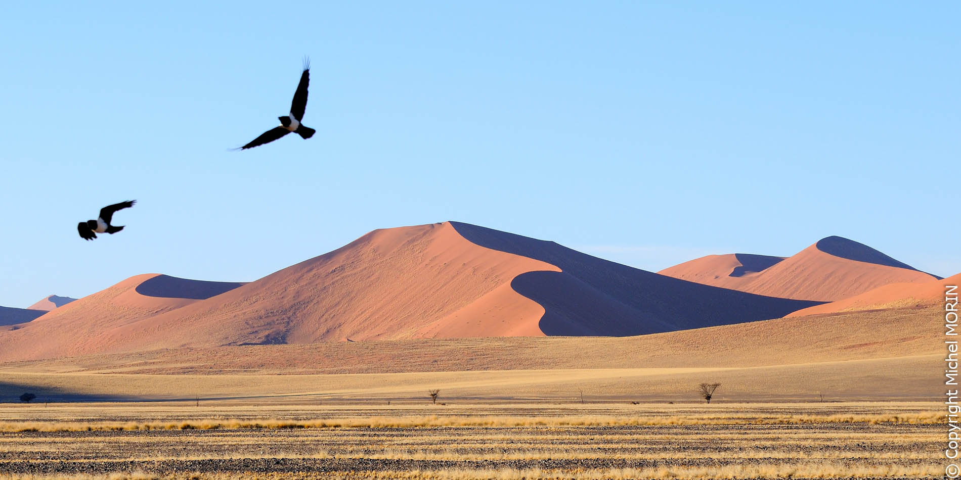 Sossusvlei - les dunes