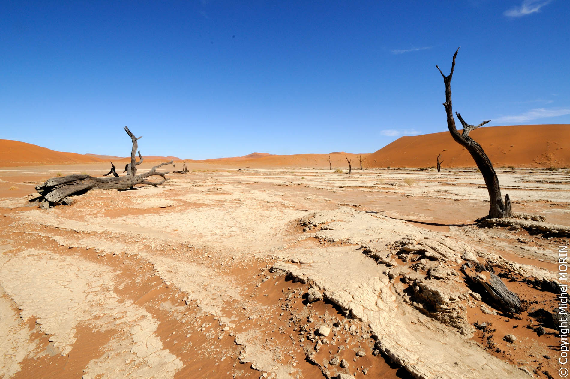 Sossusvlei - Dead Pan