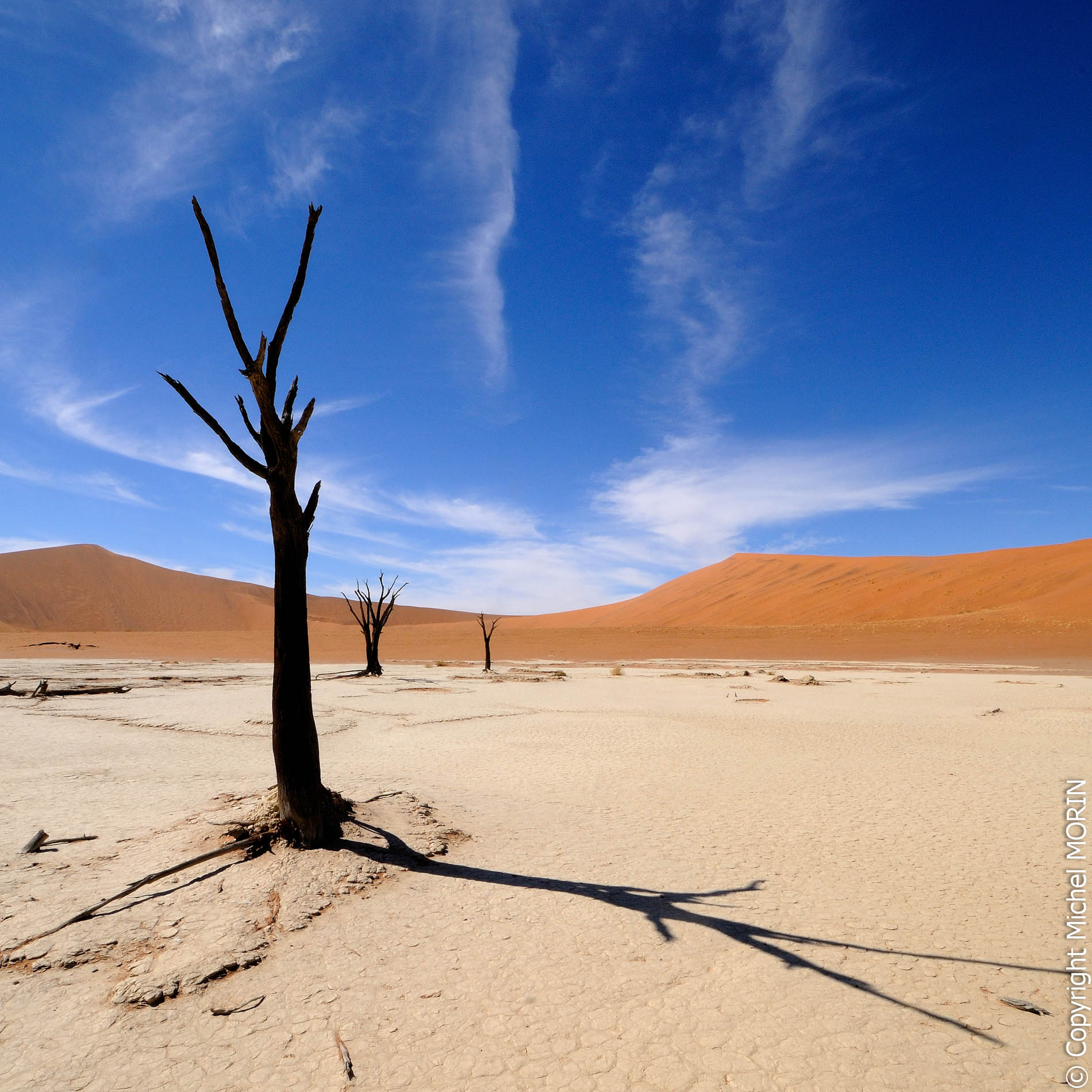 Sossusvlei - Dead Pan