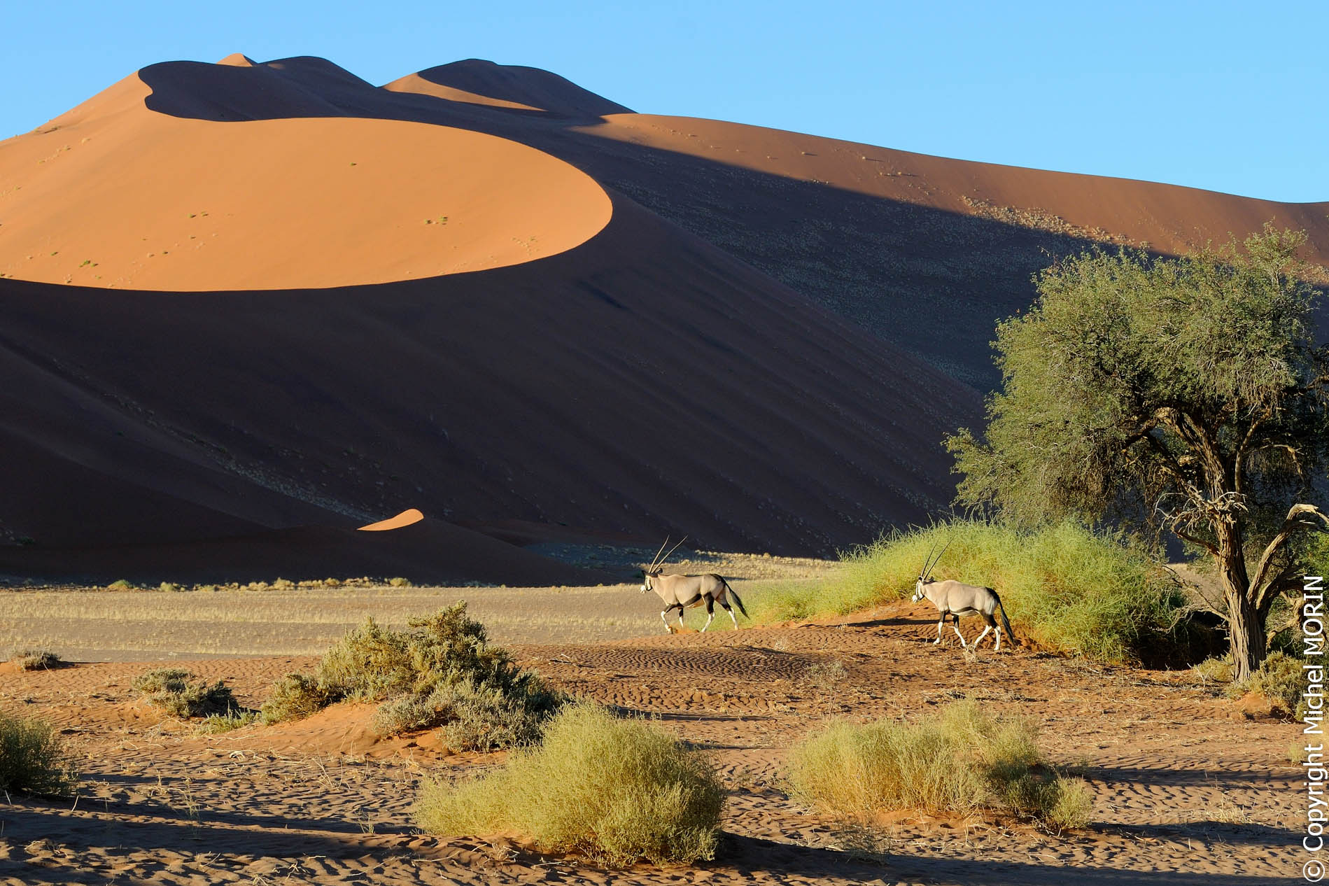 Sossusvlei - les dunes
